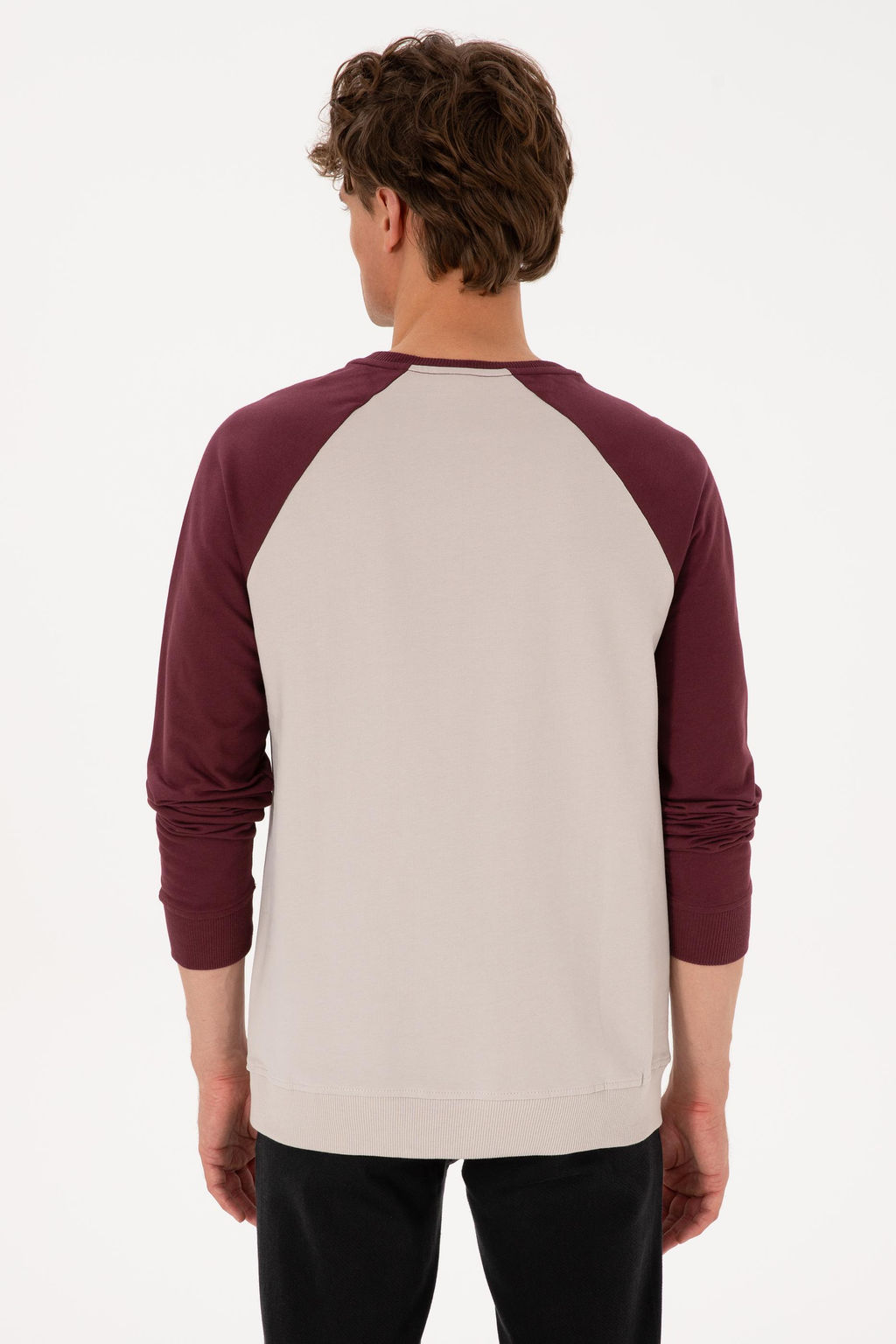 Erkek Bisiklet Yaka Regular Fit Bordo Sweatshirt - U.s. polo assn фото 5