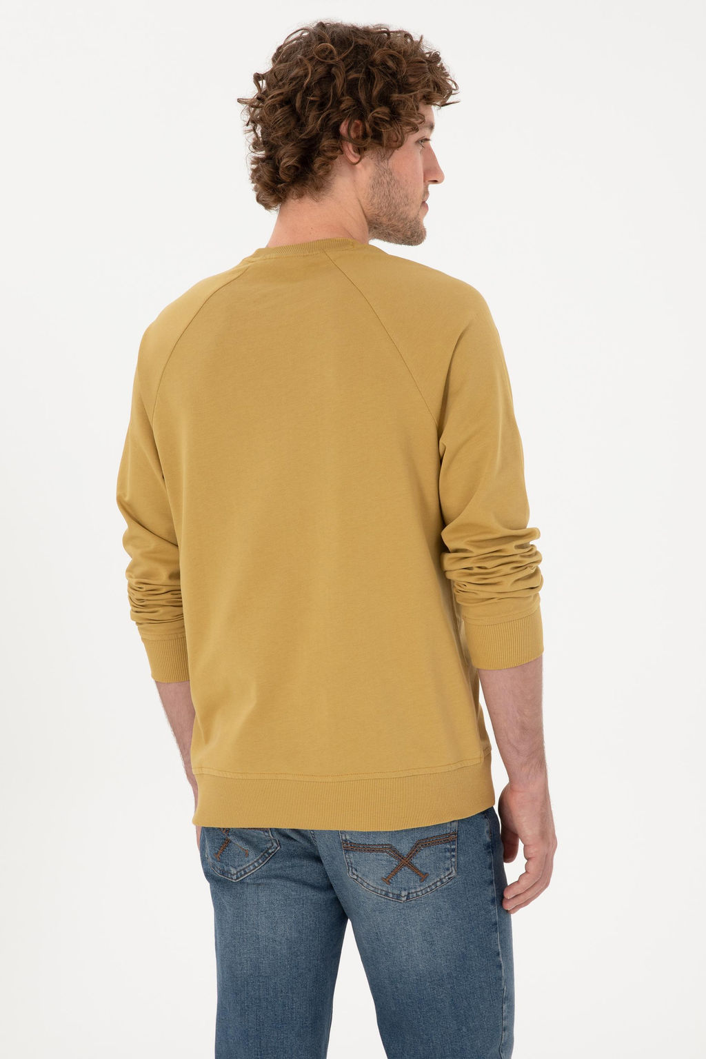 Erkek Regular Fit Bisiklet Yaka Hardal _nce Basic Sweatshirt Sepette S_rpriz _ndirim - U.s. polo assn фото 5
