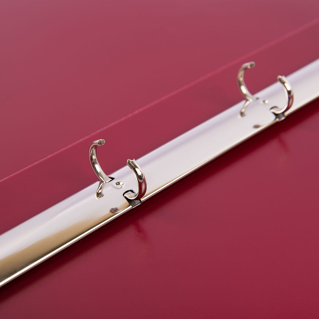 Expert Complete PRISMA Папка на 4 О-кольцах A4 700 мкм 25 мм эффект 3D 4 шт. d - 17 мм рубиновый EC211400026