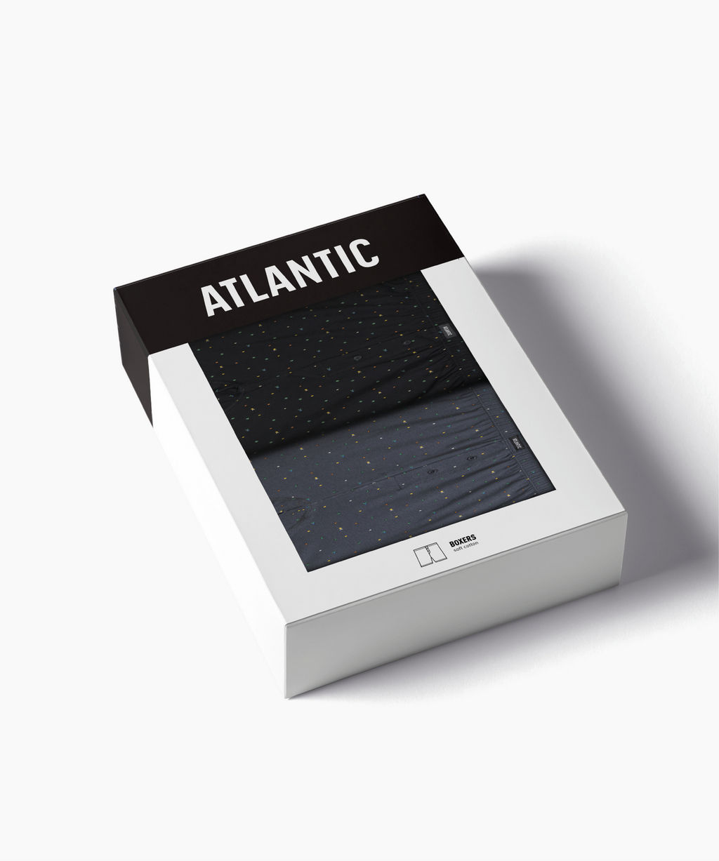 ATLANTIC 2MBX-067 Трусы боксеры Tetris - набор 2 шт. черный + графитовый  фото 6