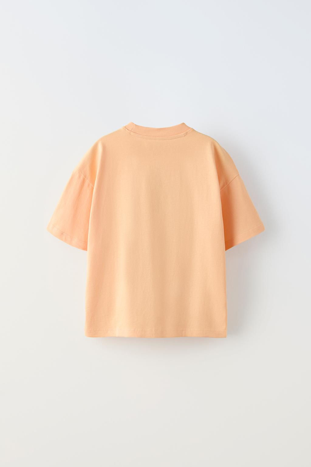 SKATER BASKILI T-SHIRT - Zara фото 3