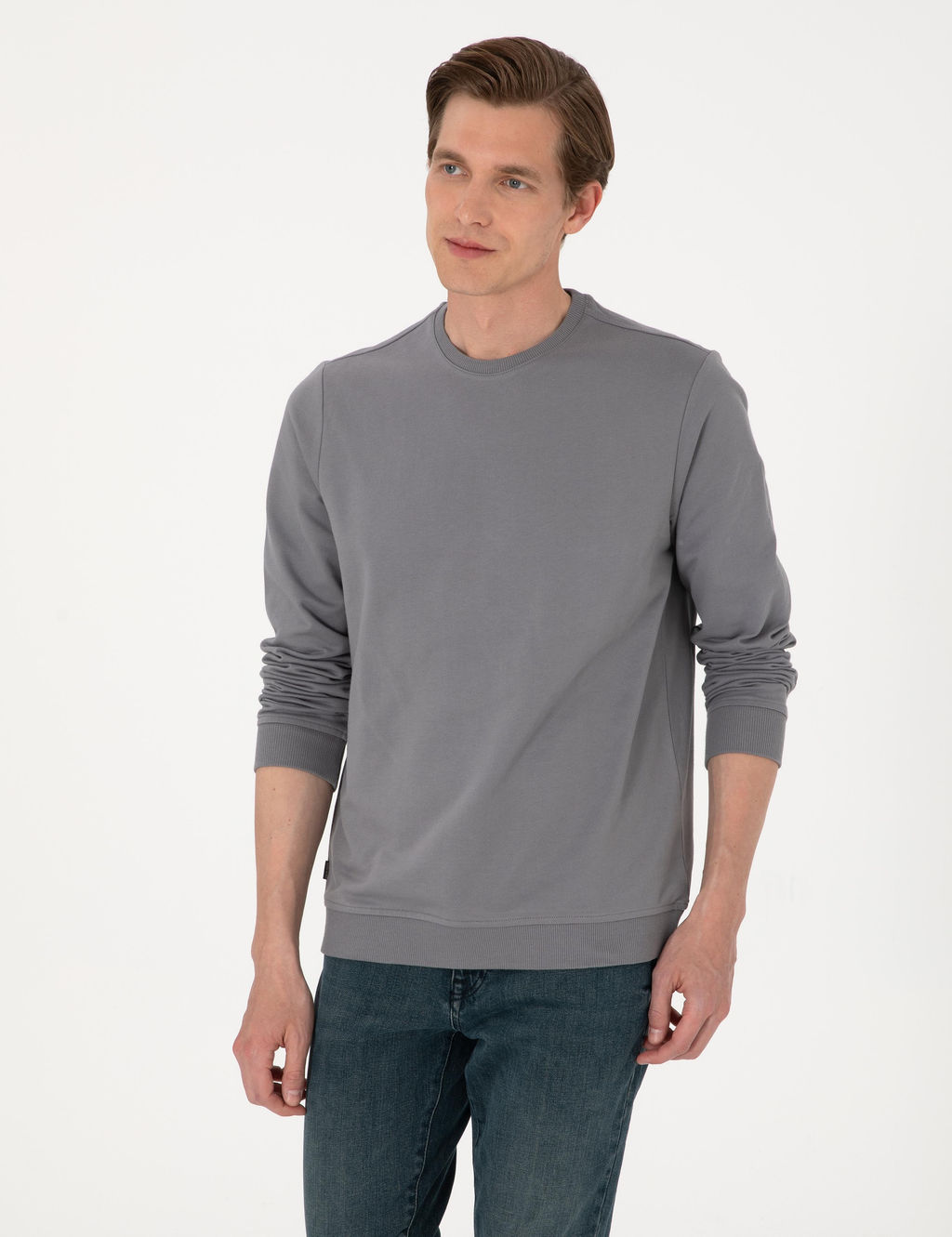 Gri 2 _plik Regular Fit Bisiklet Yaka Basic Sweatshirt