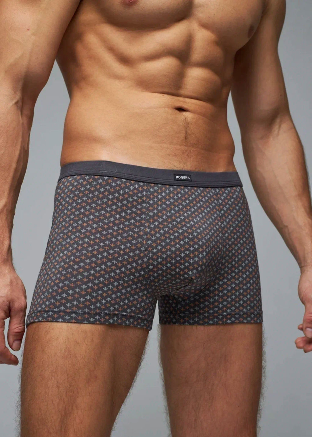 Трусы мужские боксеры Rogers 83147 модал, эластан размеры M, L, XL, 2XL  фото 7