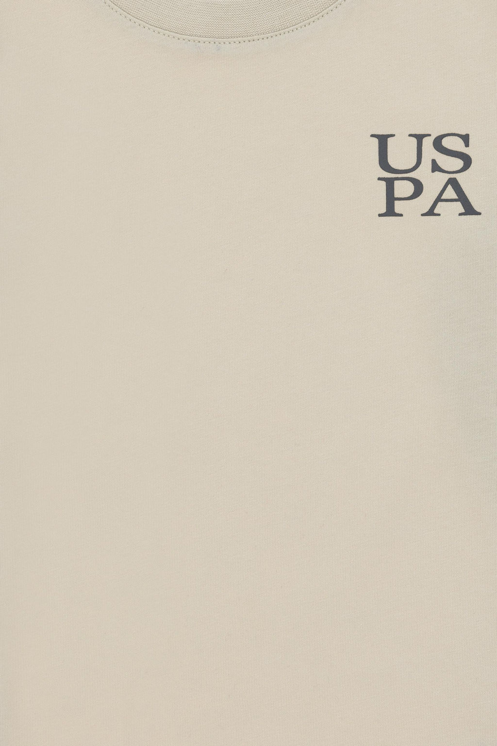 Базовая футболка Stone для мальчиков Неожиданная скидка в корзине - U.s. polo assn фото 6