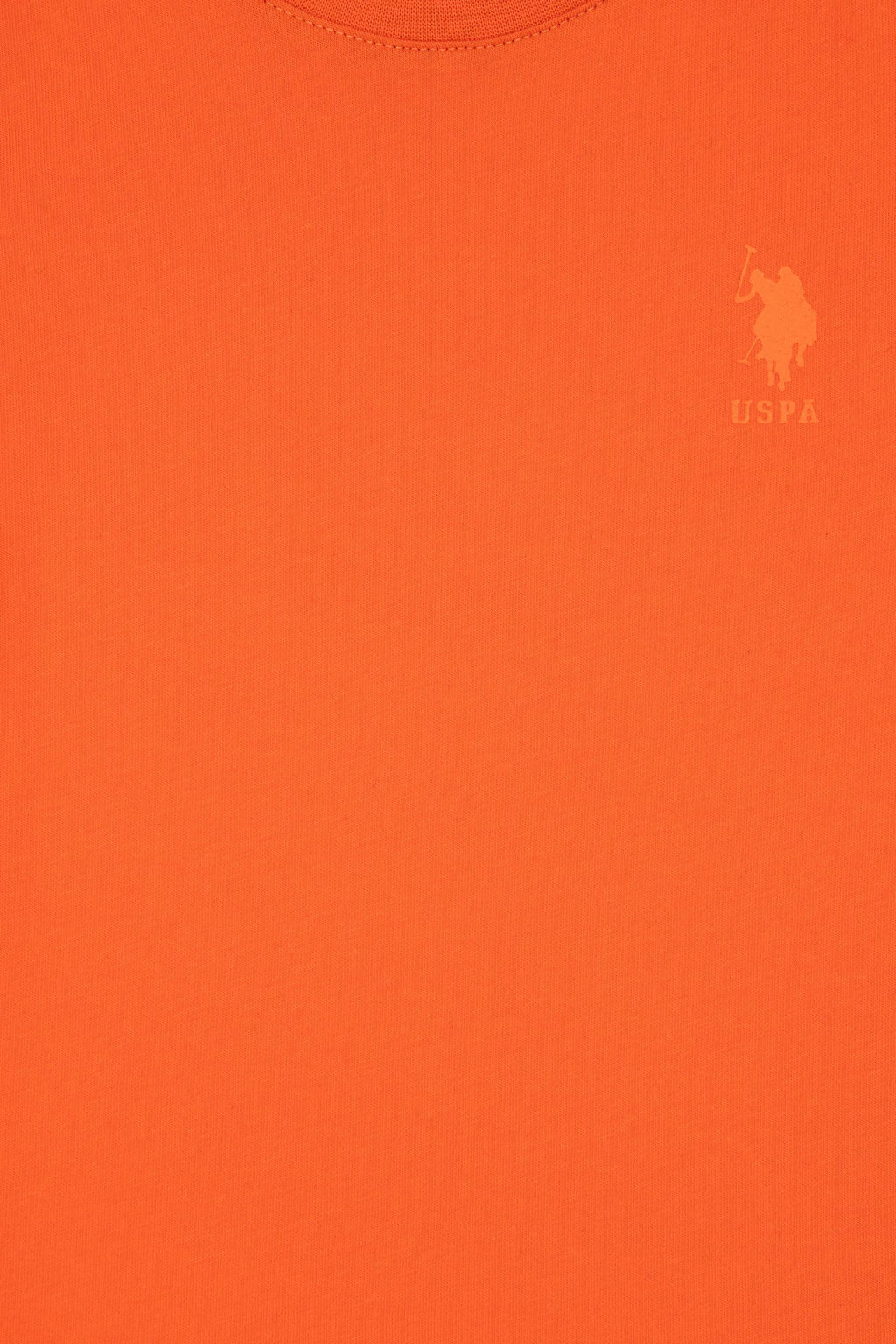 Erkek _ocuk Nar _i_e_i Basic Ti__rt Sepette S_rpriz _ndirim - U.s. polo assn фото 3