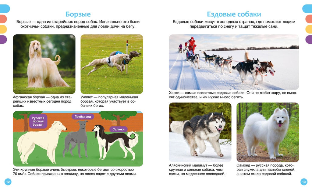 Любимые питомцы. Рени П. - Махаон фото 6