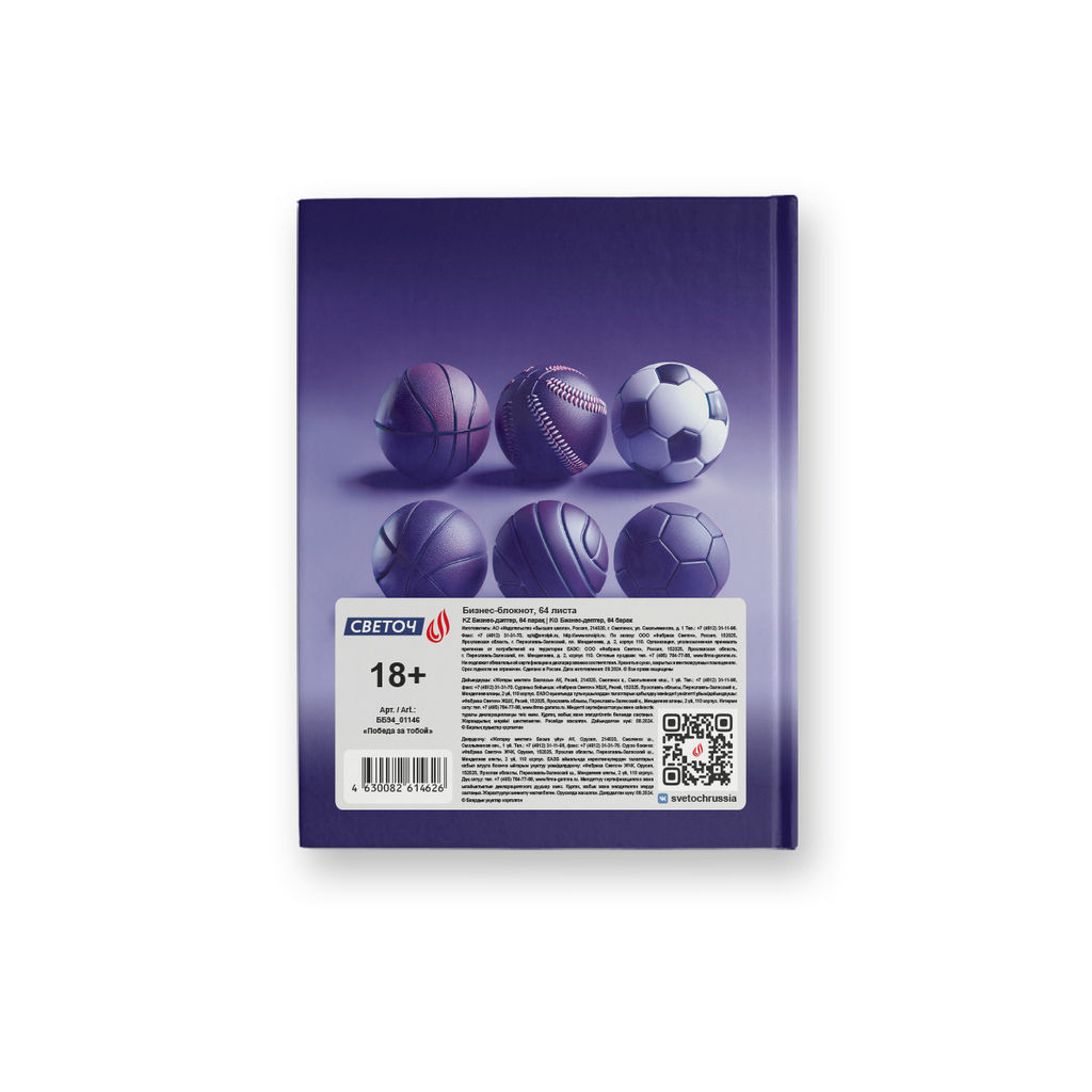 Светоч Бизнес-блокнот, матовая ламинация + выборочный лак ББ94 A6 64 л. 24 шт. клетка Победа за тобой 01146