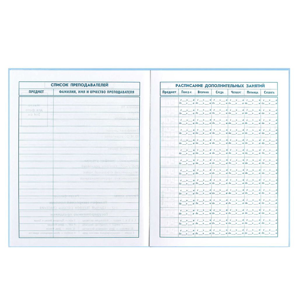 Дневник школьный 1-4 класс арт. 60063 ДЕВИЧЬИ ИГРЫ - Феникс+ фото 7