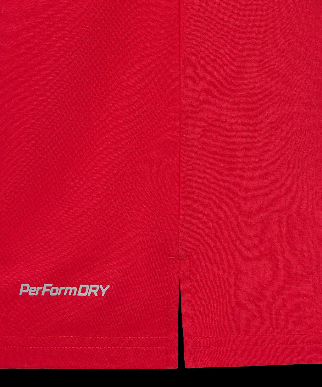 Футболка тренировочная JOGEL DIVISION PerFormDRY Training CVC R2, красный  фото 6