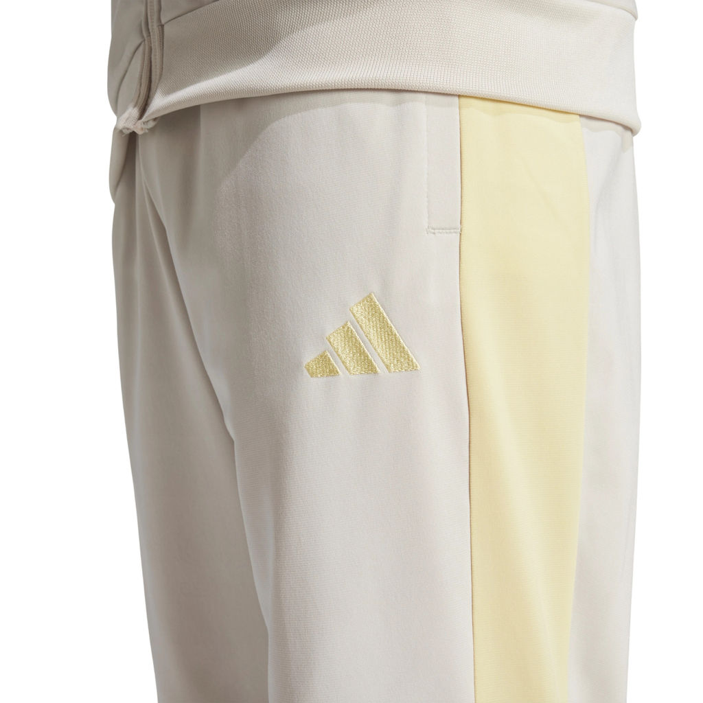 Спортивный костюм мужской