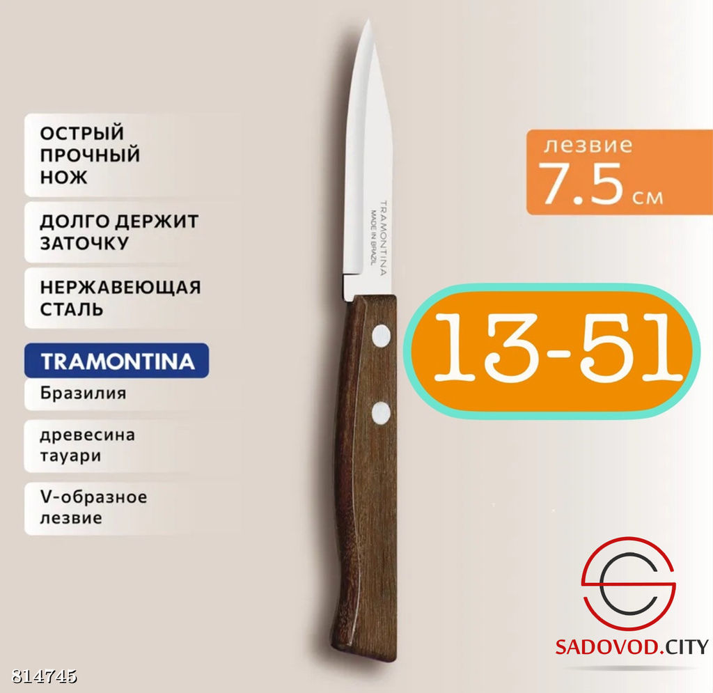 Нож для стейка с длиной лезвия 12,5 см