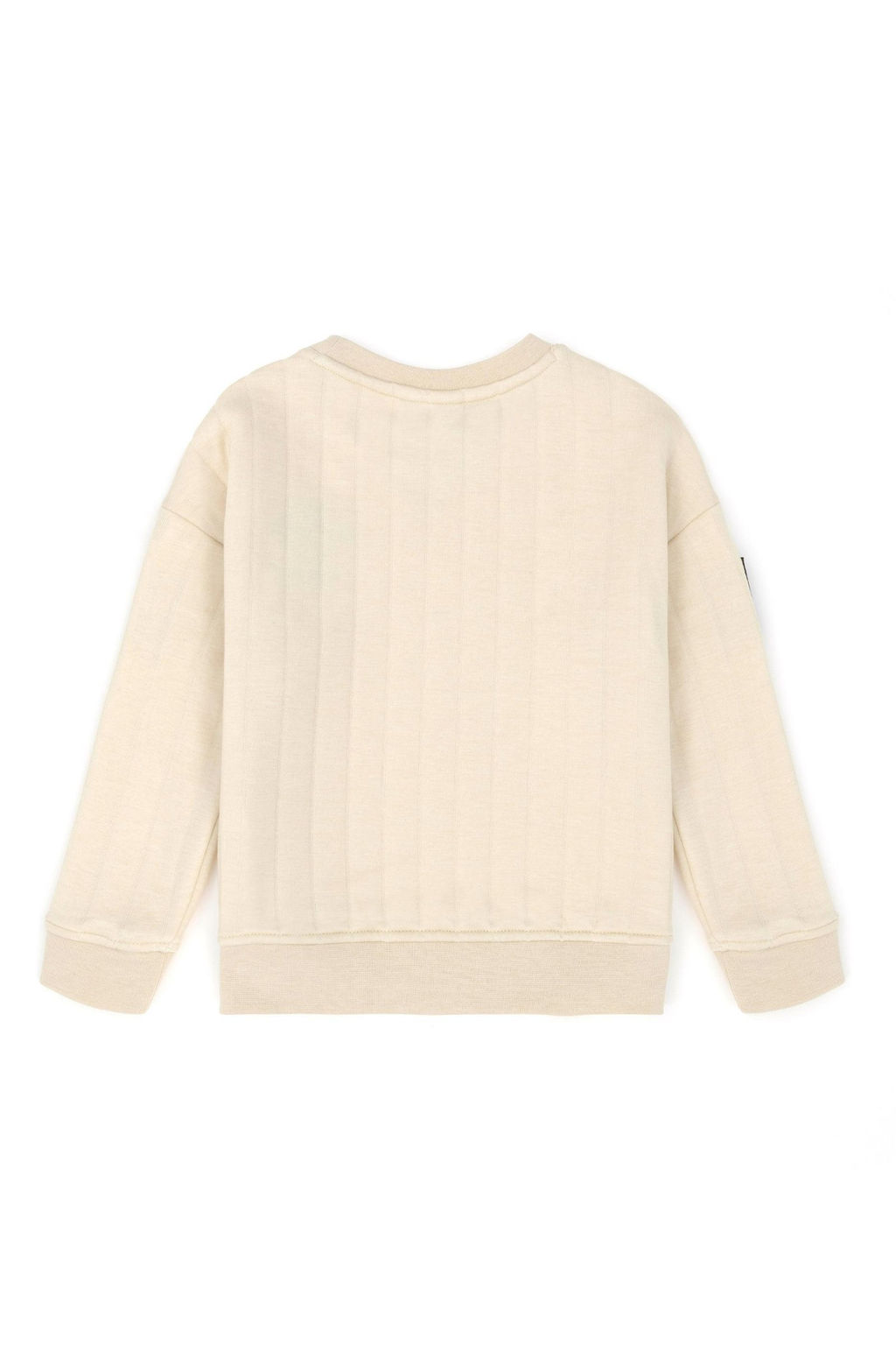 Толстовка с камнем для мальчика - U.s. polo assn фото 6