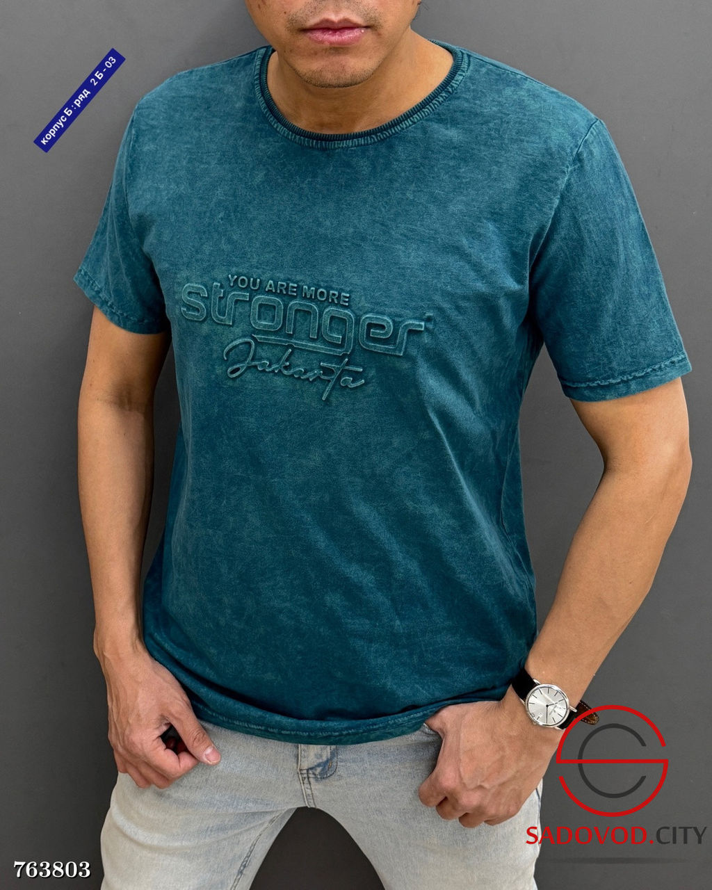 Мужская однотонная футболка