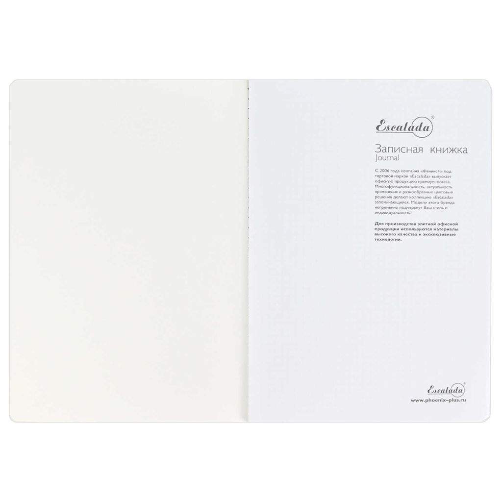 Записная книжка, А5+, арт. 52903/ 15 ШАГРЕНЬ ЗЕЛЁНЫЙ С АРОМАТОМ ЯБЛОКО - Феникс+ фото 9