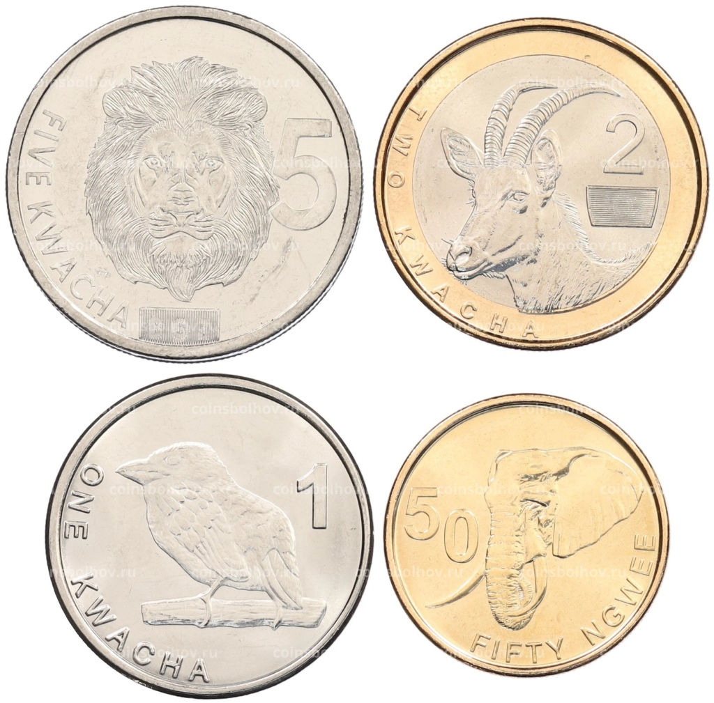 Набор из 4 монет 2024 года Замбия