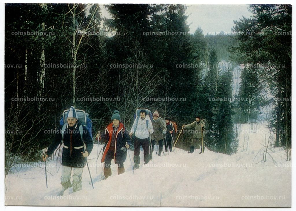 Открытка В северной тайге