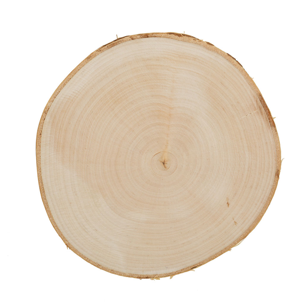 Blumentag СРЕЗ-25 срез дерева d. 15 см 3 1 шт. береза