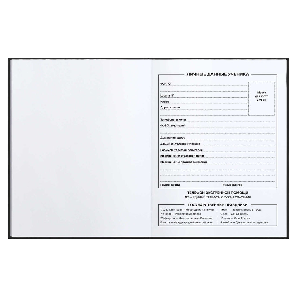 Дневник школьный арт. 64416 ФРАЗЫ С ХАРАКТЕРОМ