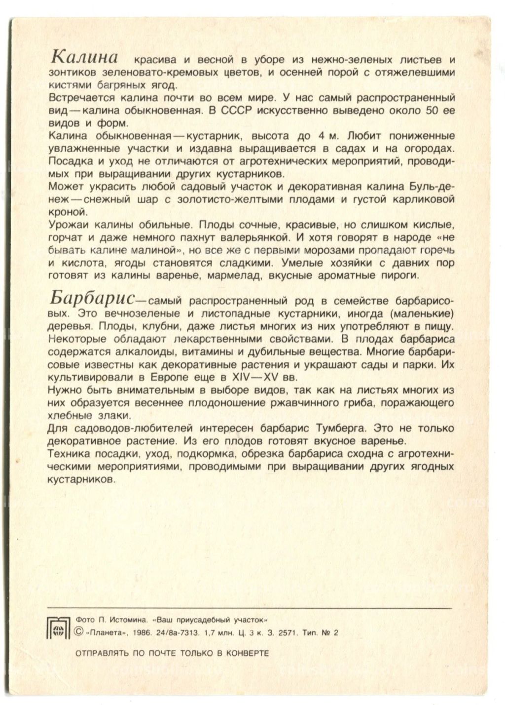 Открытка Калина.Барбарис