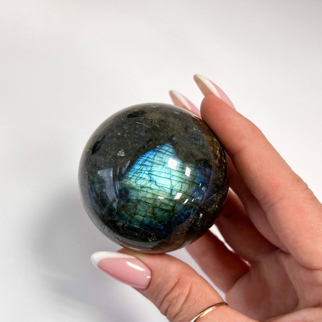 Шар из Лабрадора