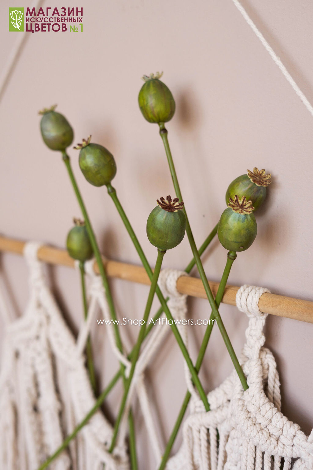 129 Коробочка мака