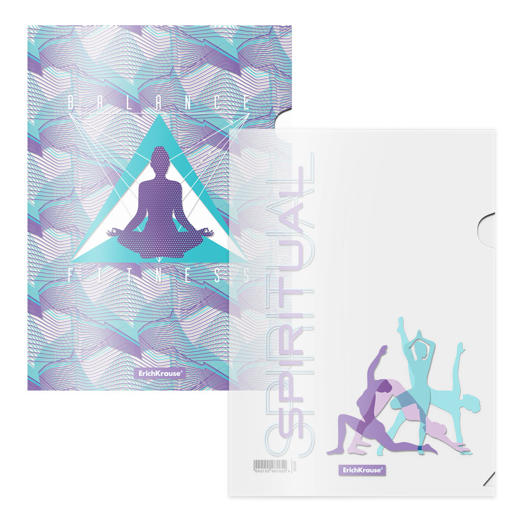 Цена за 1 шт. Набор из 4 папок-уголков пластиковых ErichKrause® Meditation, A4, ассорти