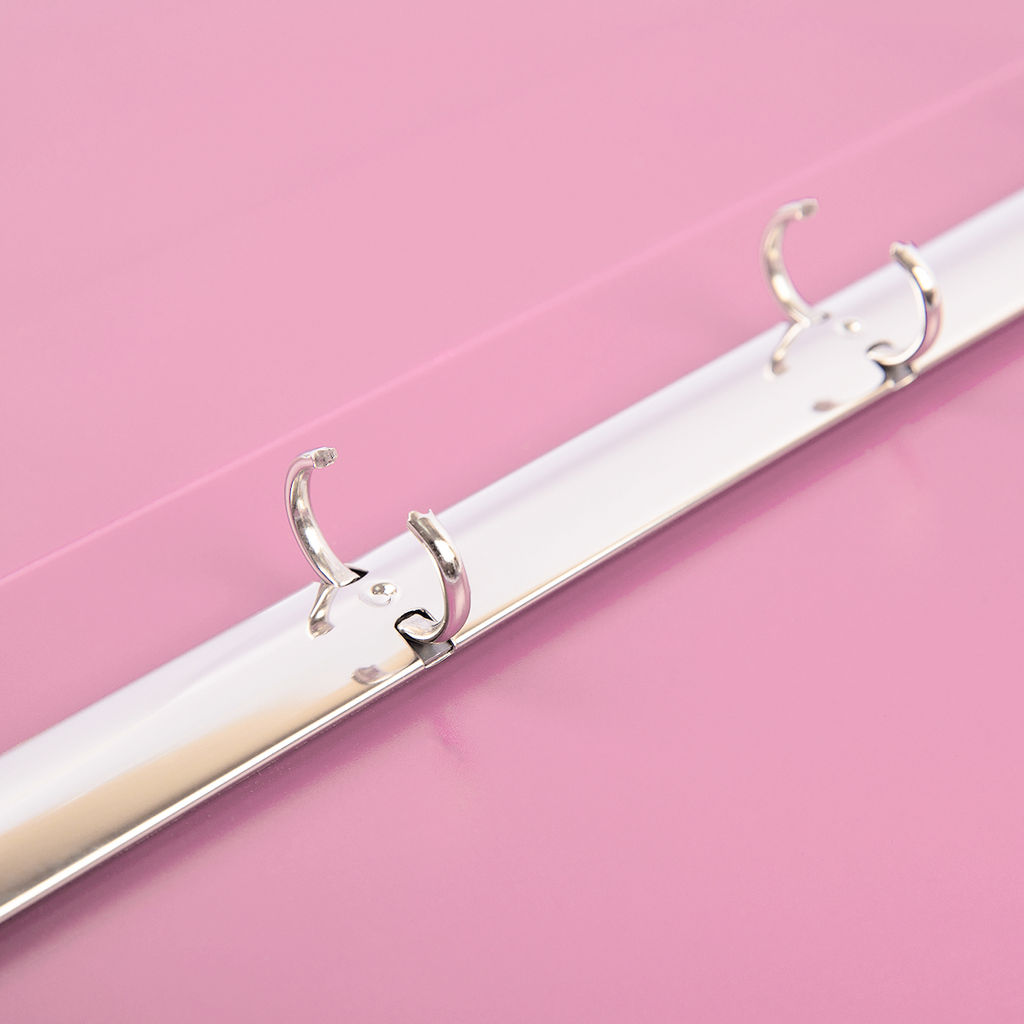 Expert Complete Trend ICEberries Папка на 4 О-кольцах A4 700 мкм 25 мм лён 1 шт. d - 17 мм клубника EC211420073