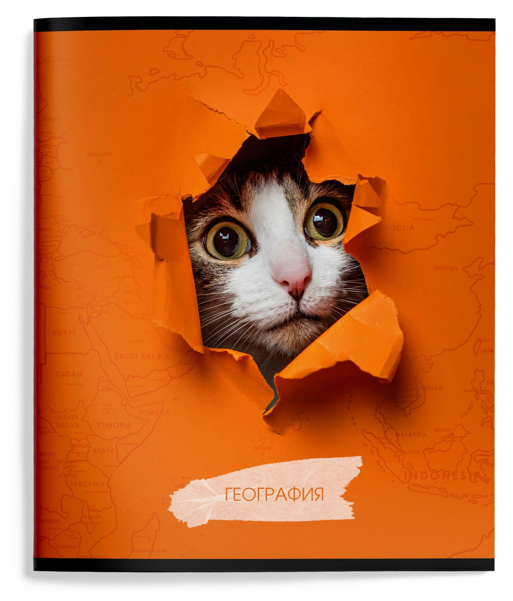 Цена за 2 шт. Тетрадь 48 л. А5 клетка, на скрепке, Schoolformat ЛЮБОПЫТНЫЙ КОТИК География мелованный ка...