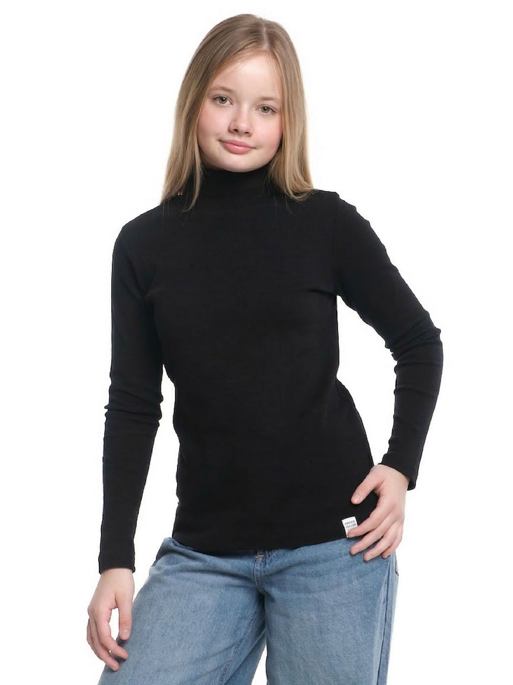 Водолазка 22-0015 черный