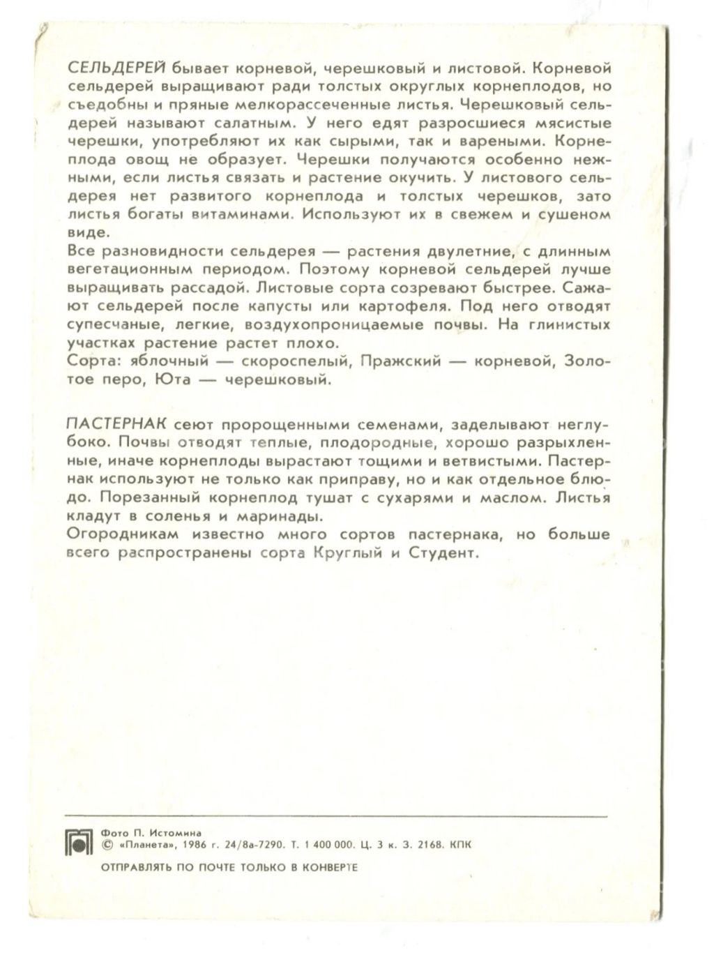 Открытка Сельдерей.Пастернак