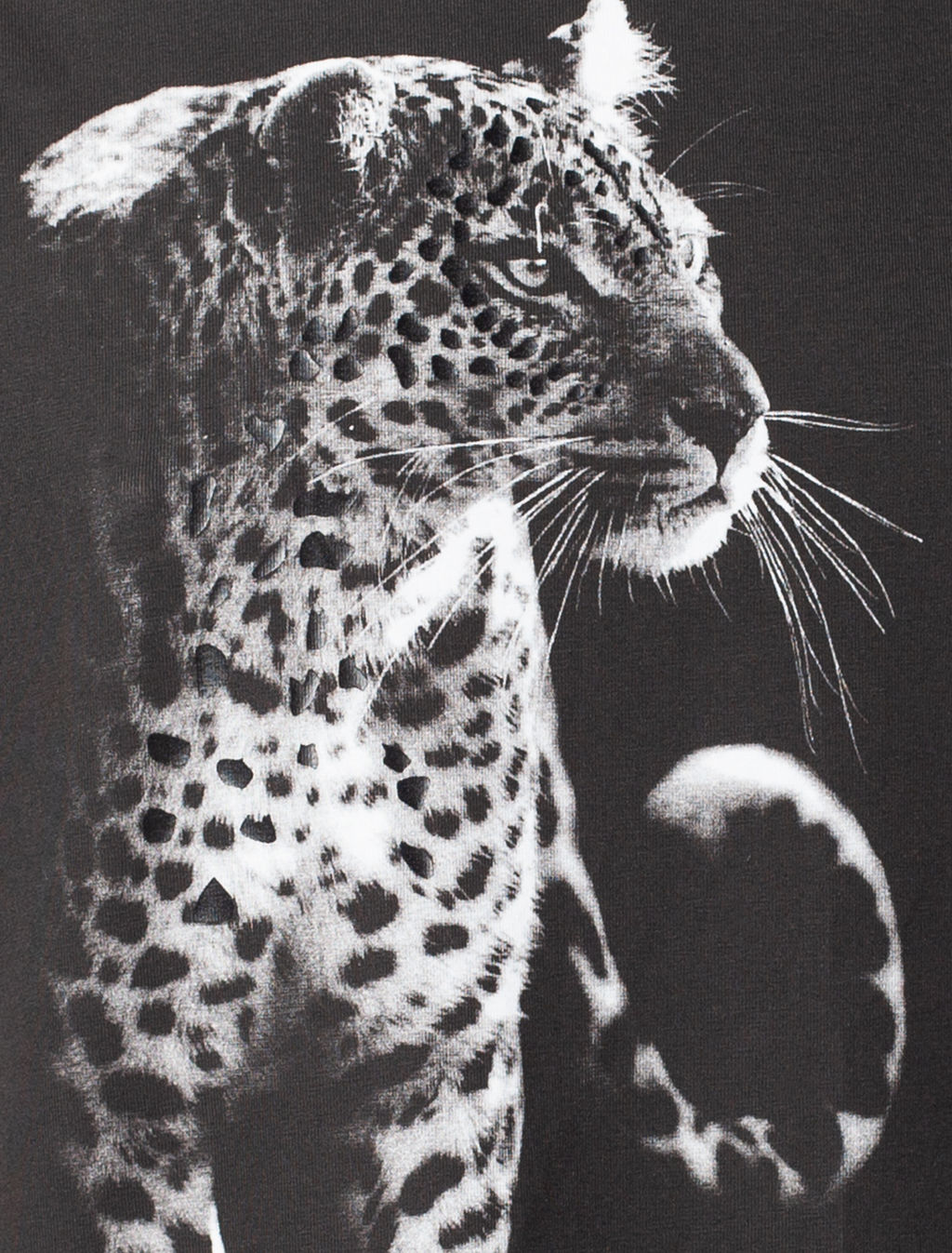 VILATTE / Футболка из премиального хлопка с фотопринтом фото 2