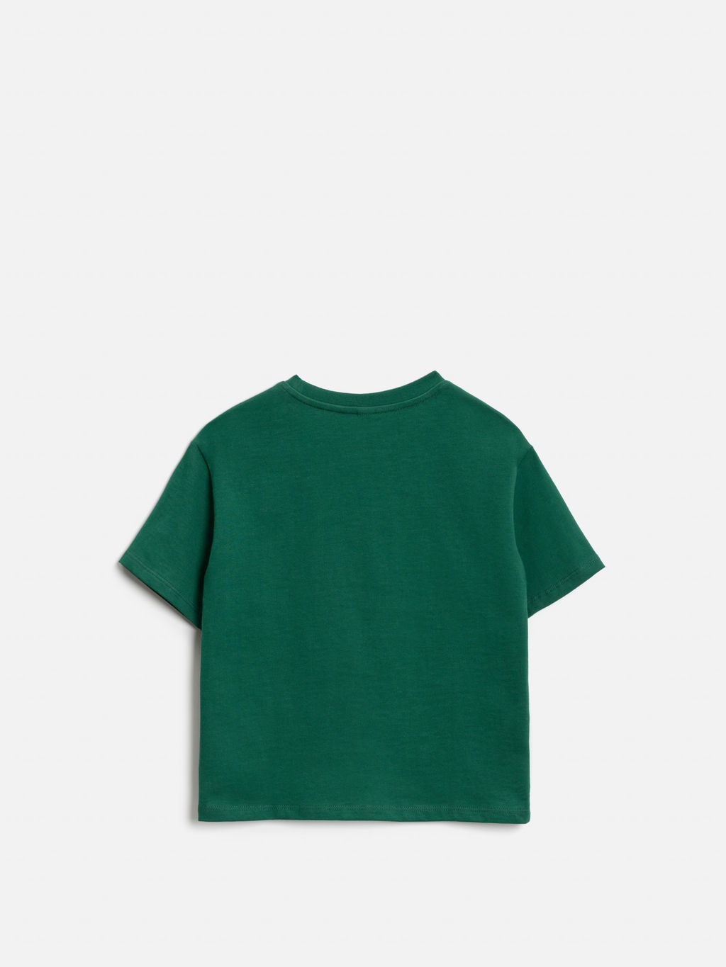 ACOOLA / Футболка детская для мальчиков Galathil зеленый