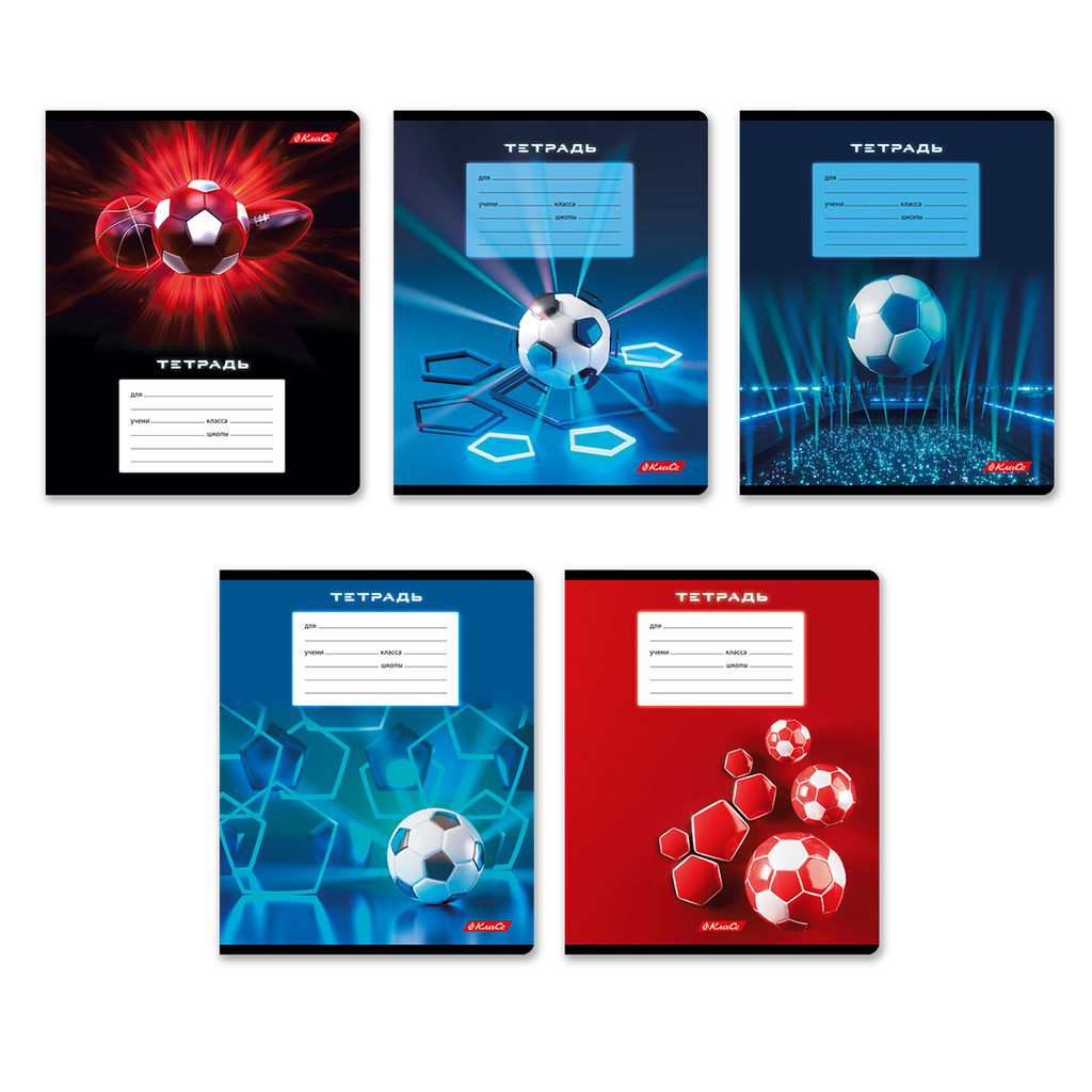 Светоч 24ТЕТк-003 Тетрадь ученическая школьная, выборочный лак, A5 24 л. на скобе 65 г/кв.м , белизна 100 % 30 шт. клетка 000717 Победный гол