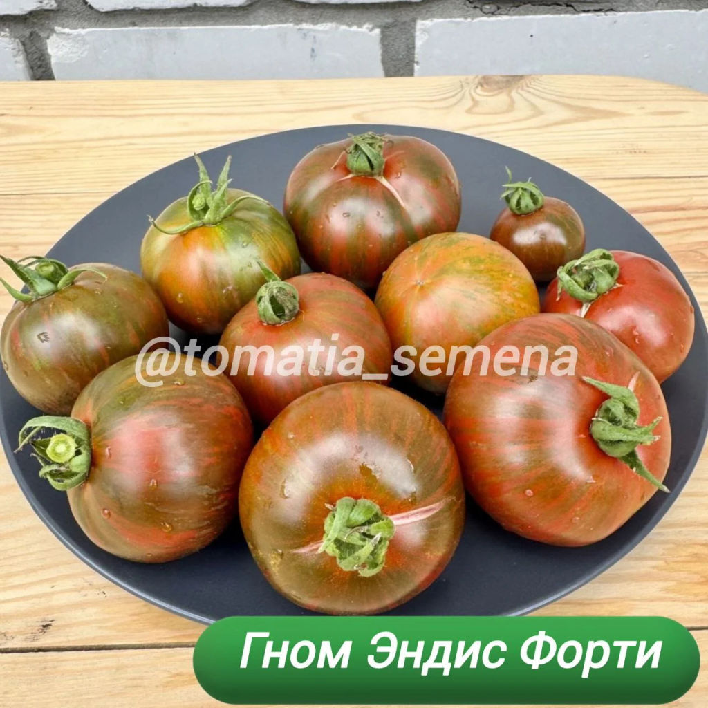 Гном Эндис Форти НОВИНКА 2025 года!