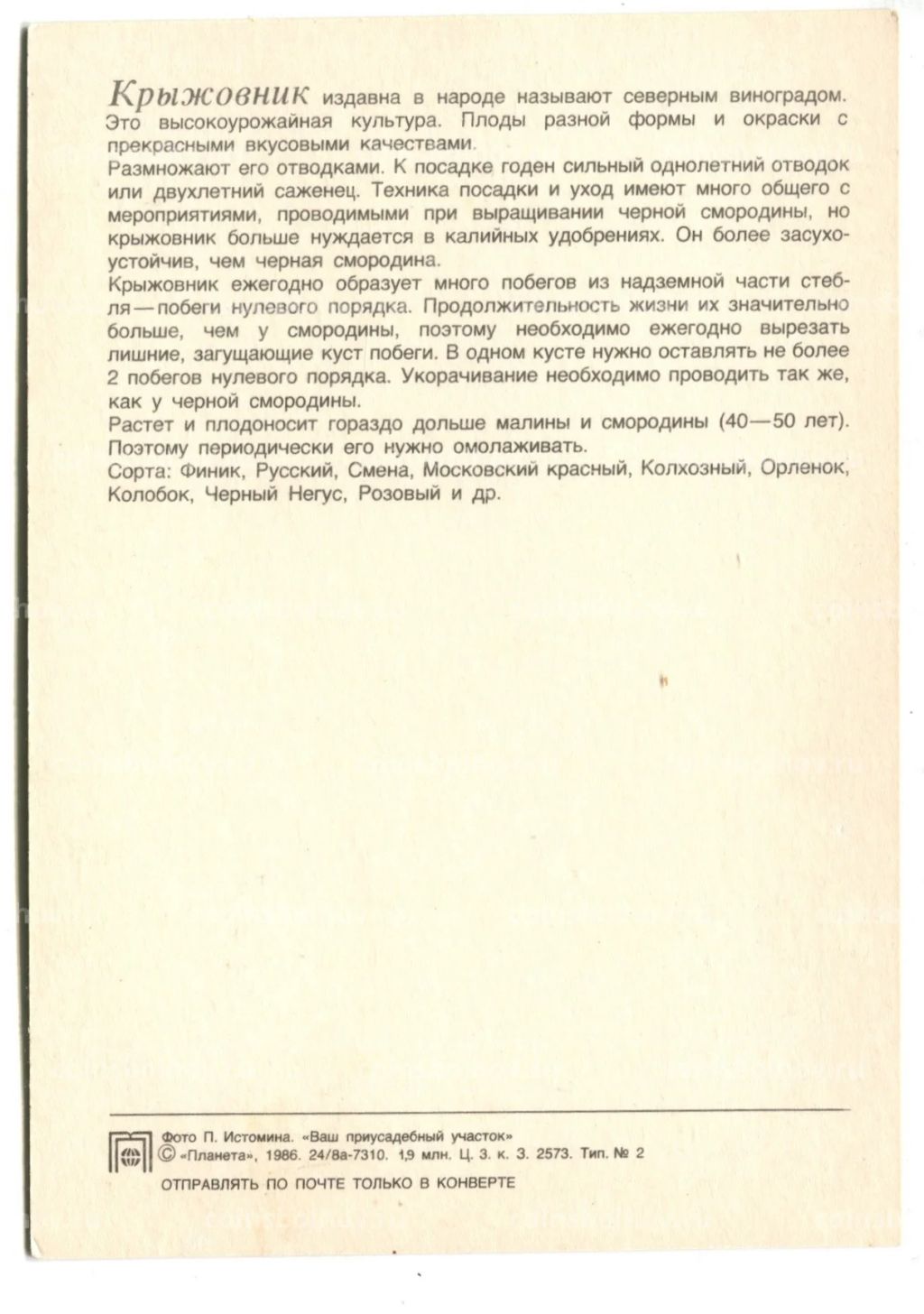 Открытка Крыжовник
