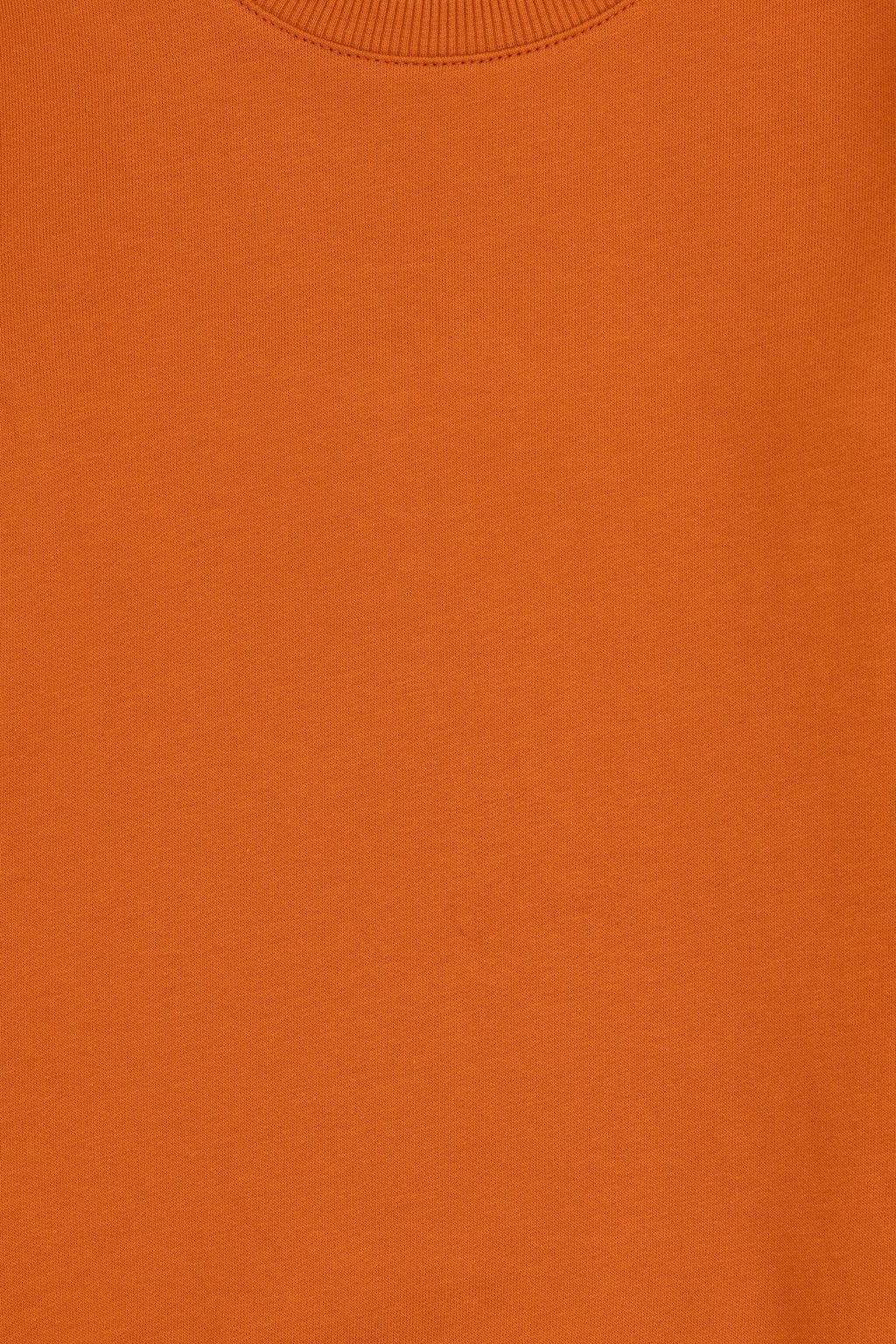 Базовый свитшот с корицей для мальчиков Неожиданная скидка в корзине - U.s. polo assn фото 3