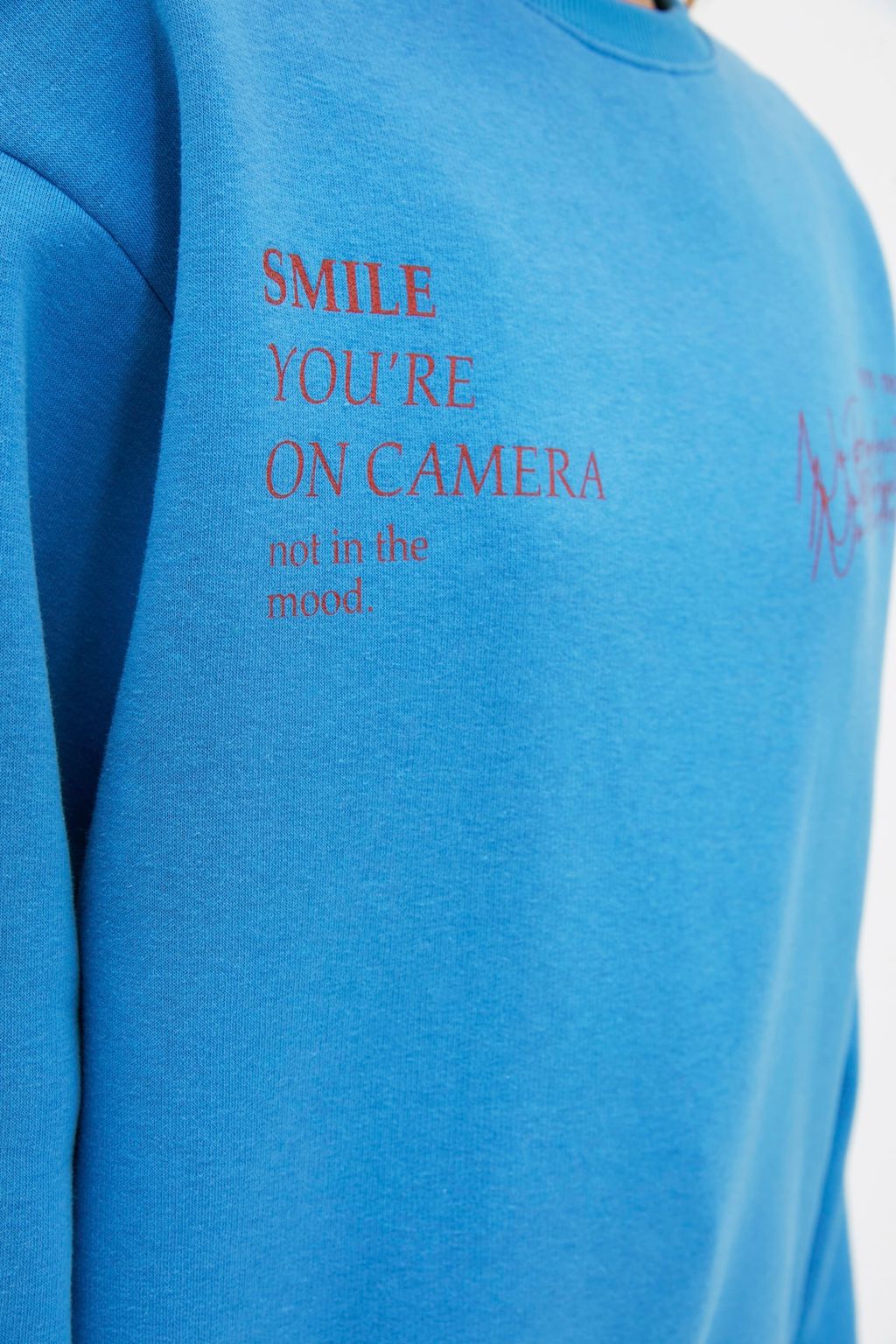 TRENDYOLMILLA Koyu Antrasit Bisiklet Yaka Basic Fit Bask?l? Kal?n Ici Polarl? Orme Sweatshirt TWOAW22SW1957  фото 2