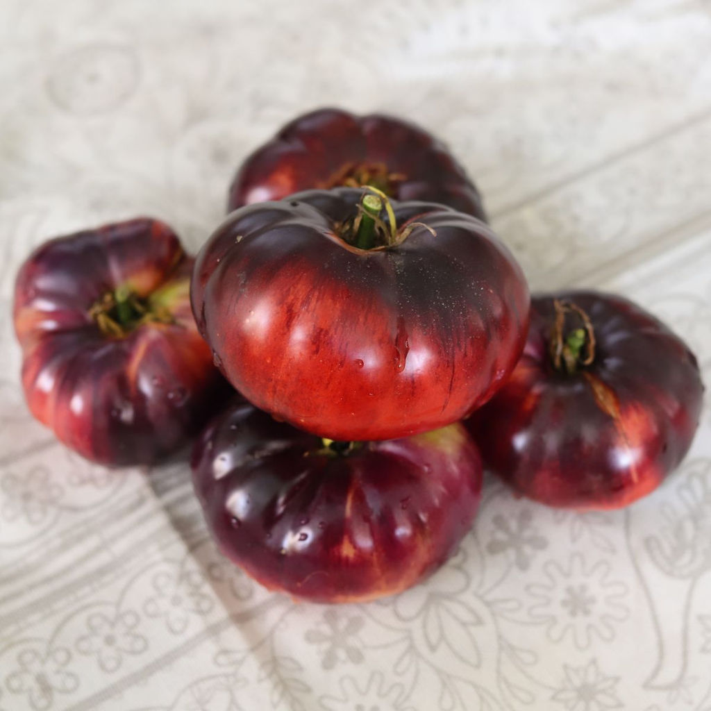 Томат ПУШКИН F1 Безумно красив! Мясистый, нежный, сладкий с фруктовыми нотками! - Уральский дачник фото 2