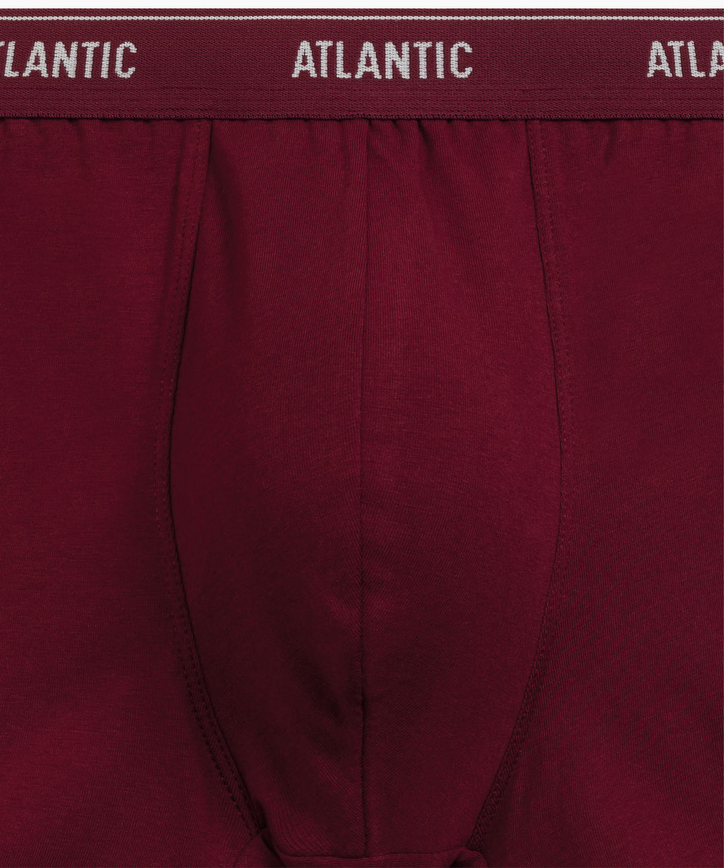 ATLANTIC 2RMH-011 Трусы шорты - набор (2 шт.) графитовый + каберне фото 5