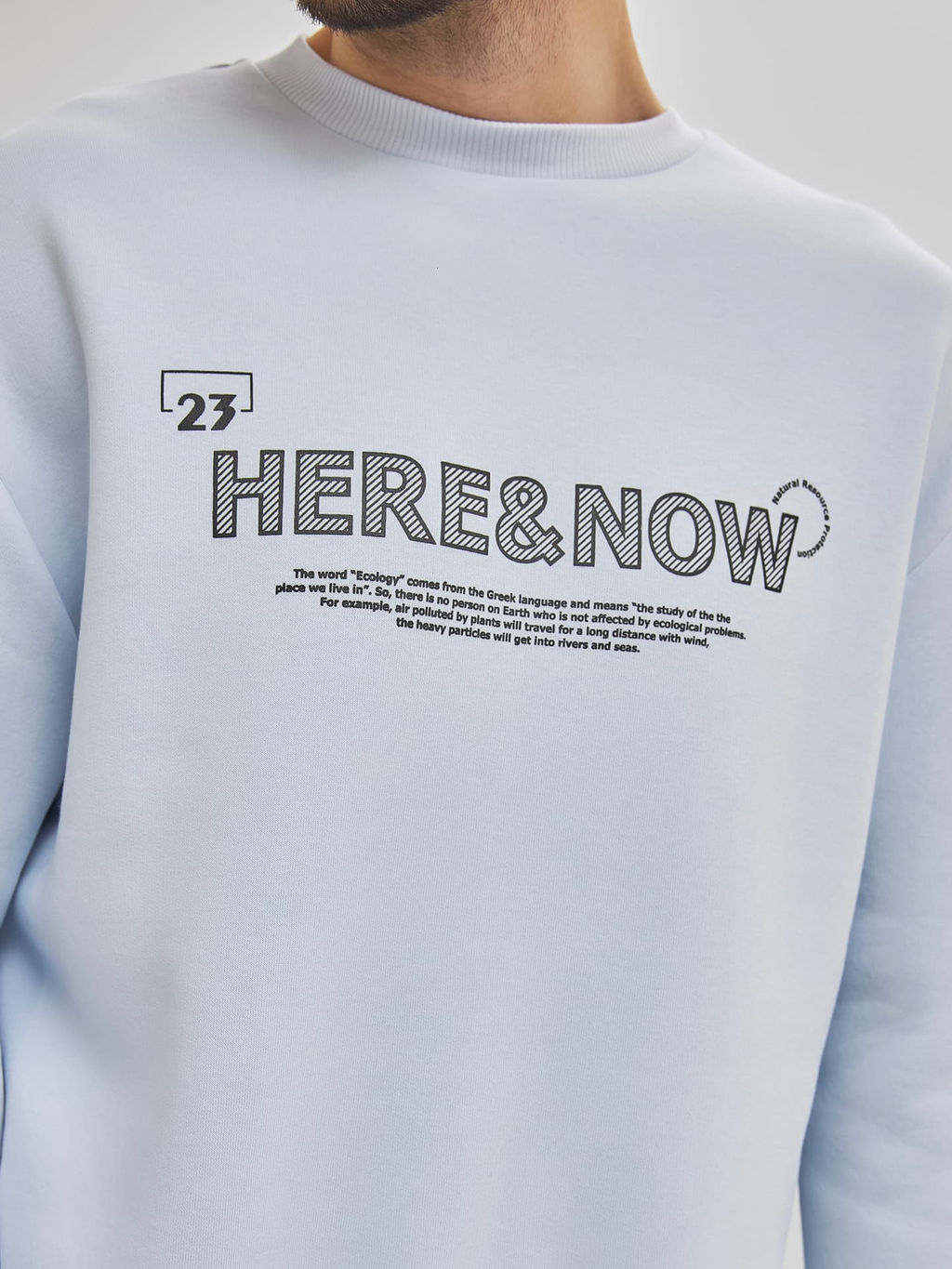 Теплый свитшот голубого цвета с текстовыми принтами св.голубой +печать 121801