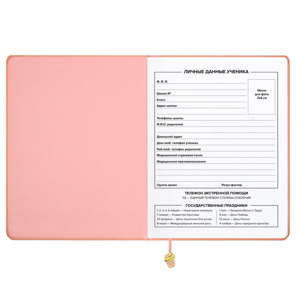 Дневник школьный арт. 68775 / 15 ПАТТЕРН КЕКСЫ