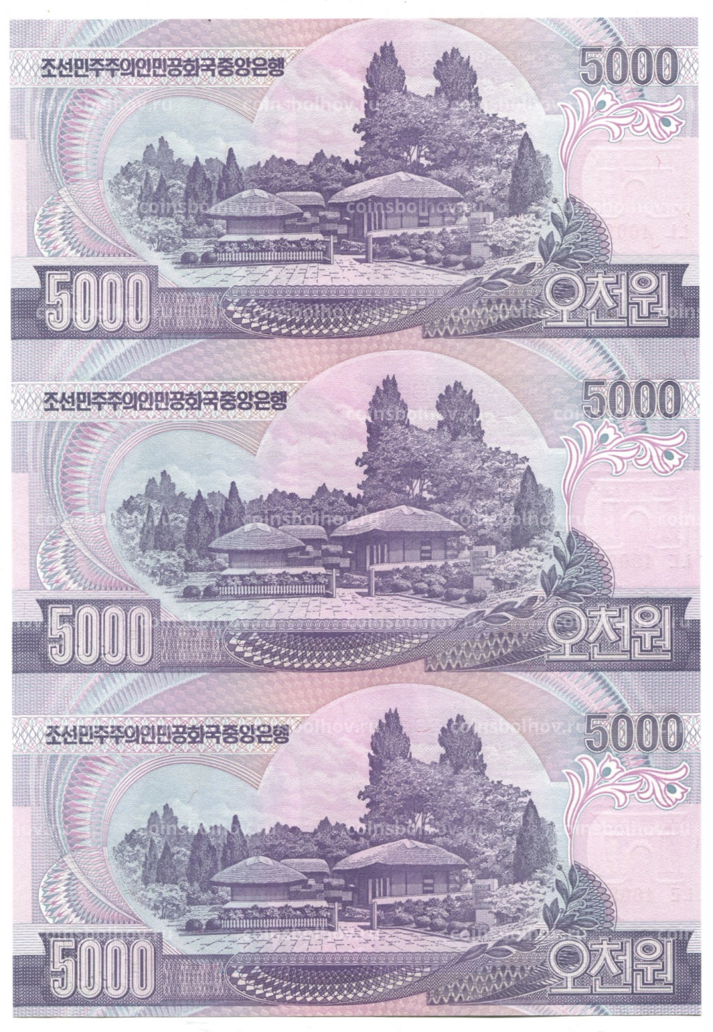 5000 вон 2006 года Северная Корея  Лист из трех банкнот