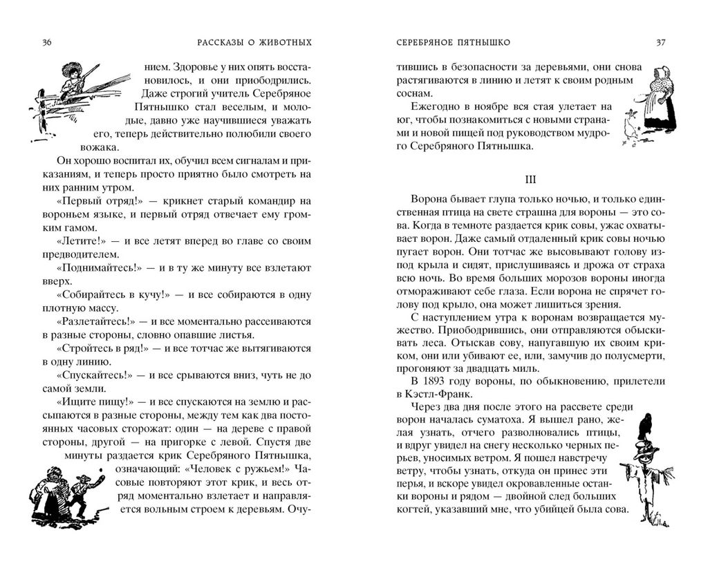 Рассказы о животных. Сетон-Томпсон Э. - Азбука фото 8