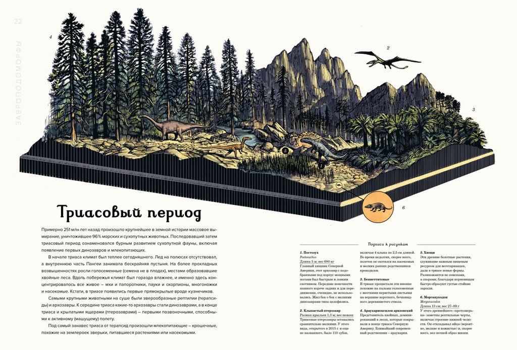 Динозавриум. Маррей Л., Скотт К., Брун Д. - Махаон фото 6