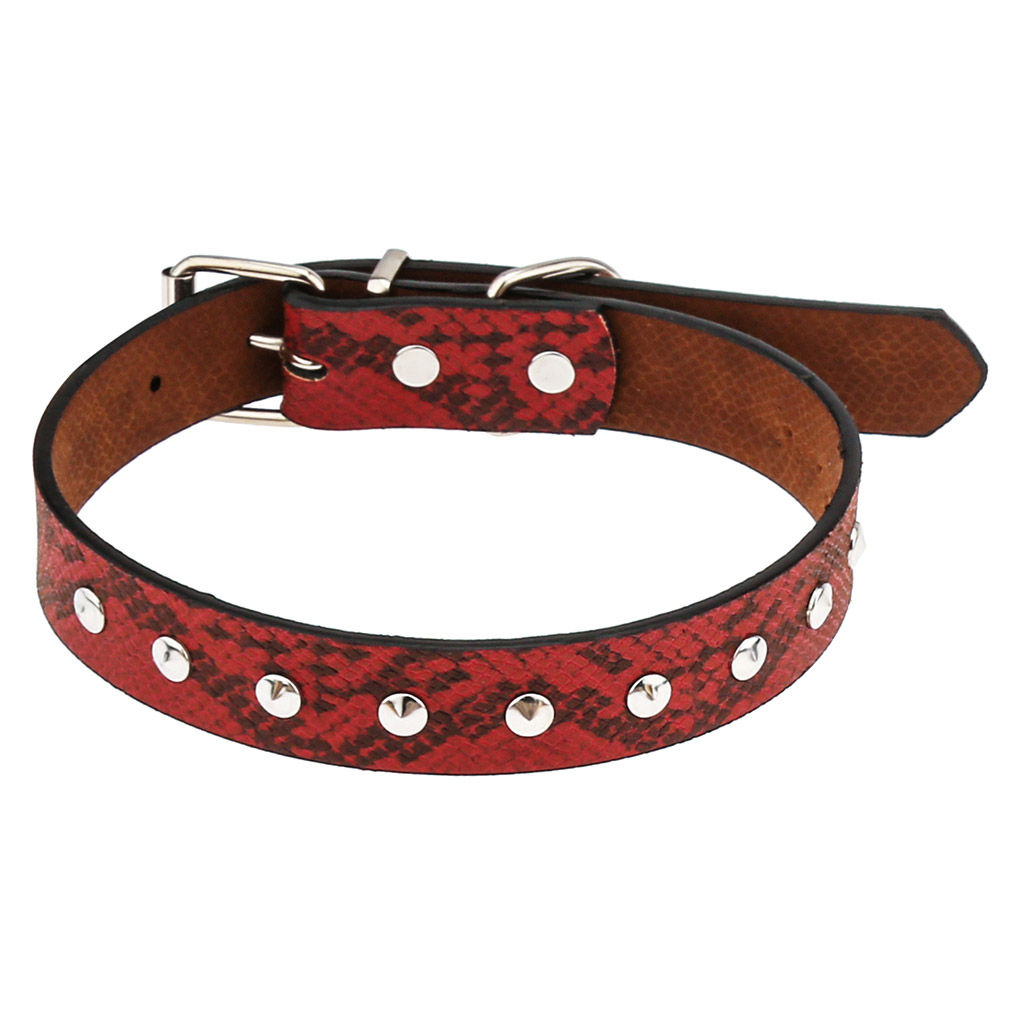 Пэт тойс (Pet toys) Ошейник для собаки Рептилия 2,4х51см, металлическая застежка, под кожу, металл декор, на картоне, цвета в ассортименте: бордовый, синий, черный, черно-белый (Китай)