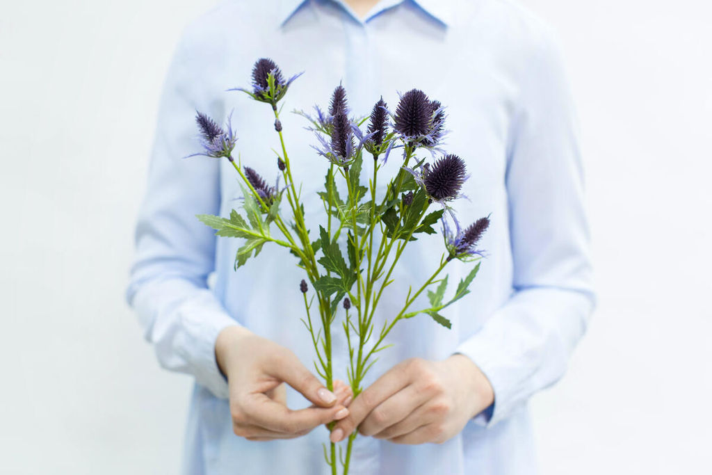 Эрингиум Супер Нова - Темно-фиолетовый - Real touch фото 2