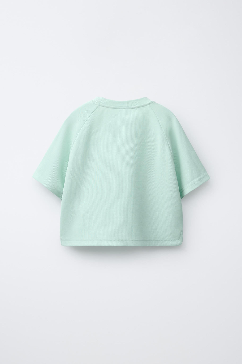 CAMISETA TEXTO RELIEVE CONTRASTE / Verde claro
