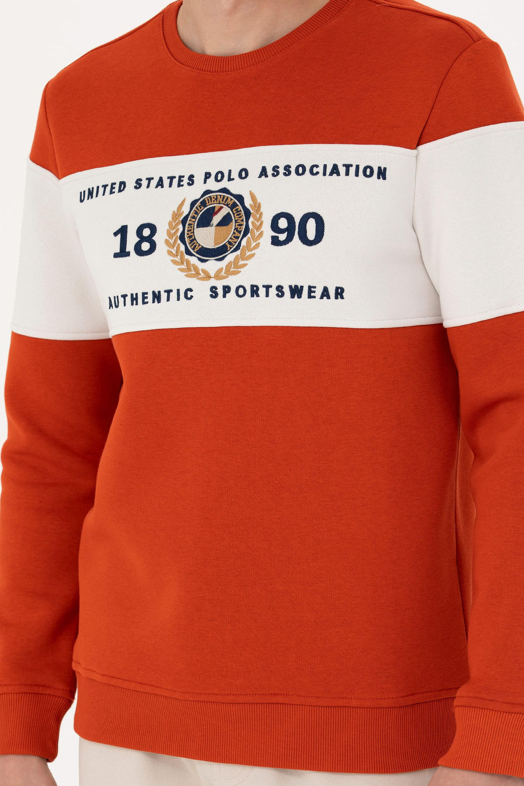 Мужской свитшот с плиткой Неожиданная скидка в корзине - U.s. polo assn фото 13