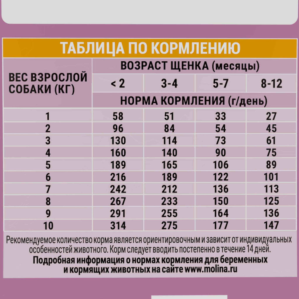 MOLINA, Сухой корм с инд и ягн для щенков и молод.собак мелк.пород, PUPPY&JUNIOR MINI,0.8 кг,1060833  фото 3
