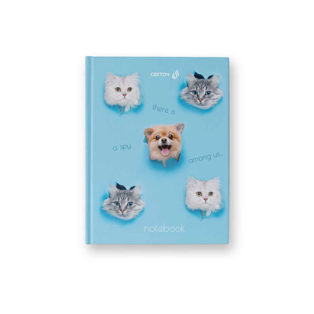 Светоч Бизнес-блокнот, глянцевая ламинация, 64ББТ6_4_5_1 A6 64 л. 24 шт. клетка Пушистый шпион 000905